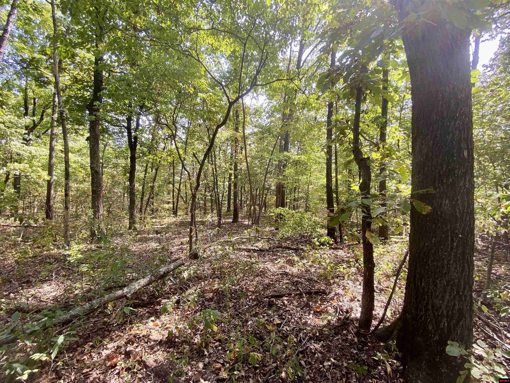 3.75 Acres of Land for Sale in Clarkridge, Arkansas