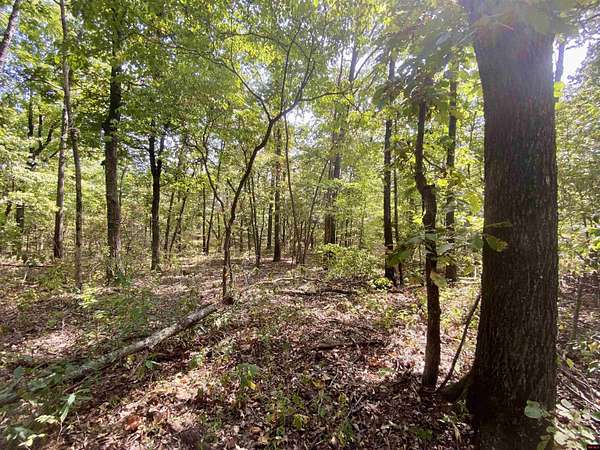3.75 Acres of Land for Sale in Clarkridge, Arkansas