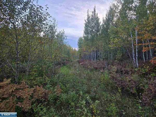 44.9 Acres of Recreational Land for Sale in Britt, Minnesota