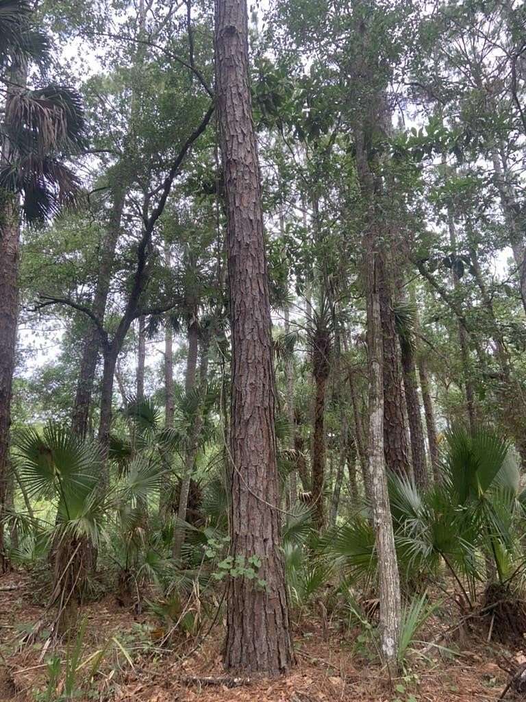 0.96 Acres of Residential Land for Sale in St. Augustine, Florida
