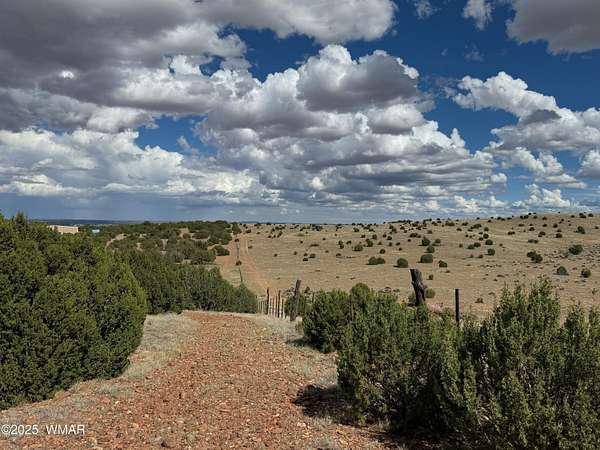 53.5 Acres of Land for Sale in Taylor, Arizona
