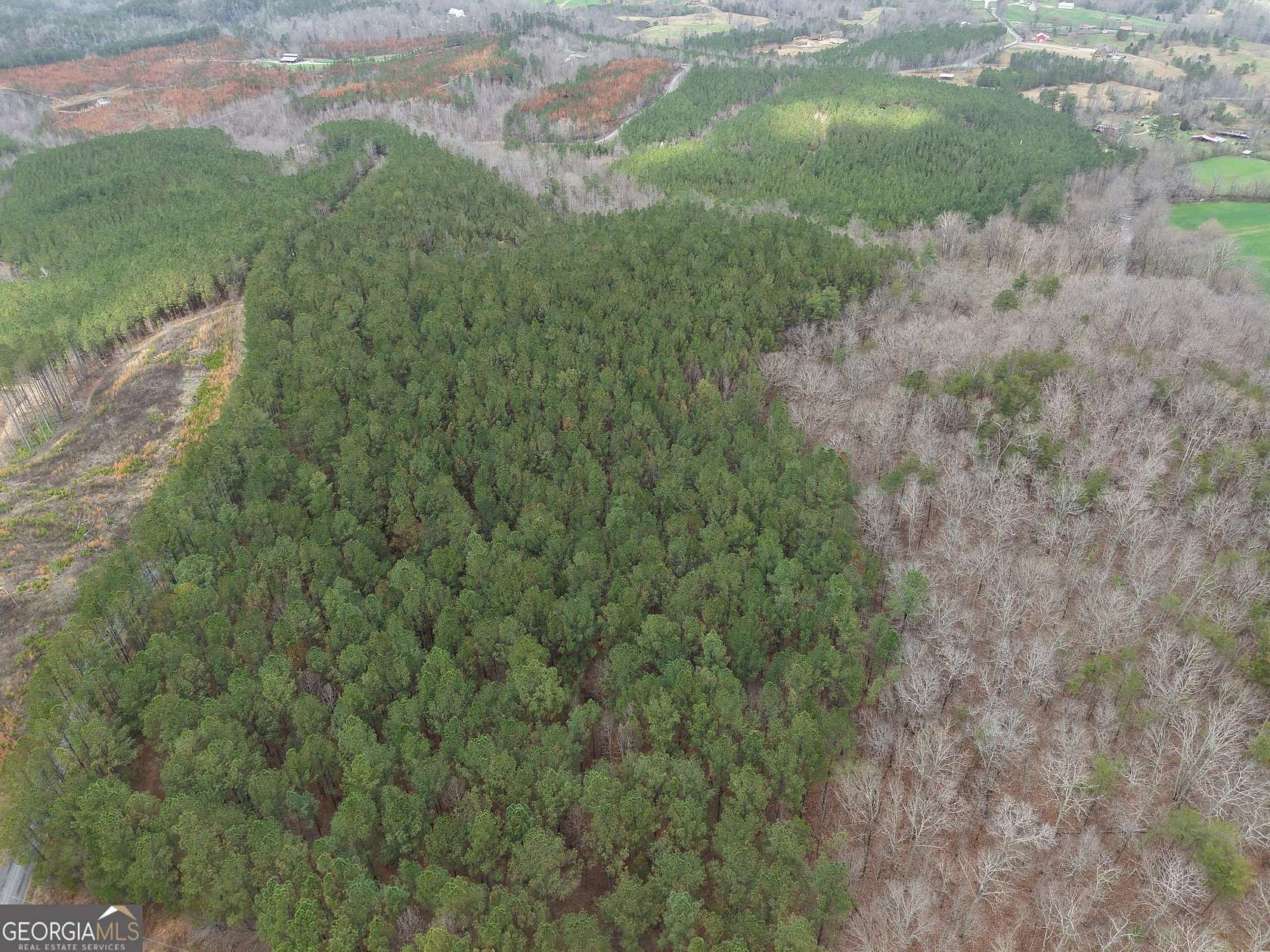 15 Acres of Land for Sale in Rydal, Georgia