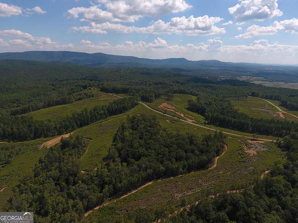 32 Acres of Land for Sale in Rydal, Georgia