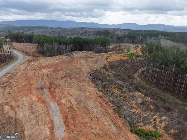 10.6 Acres of Land for Sale in Rydal, Georgia