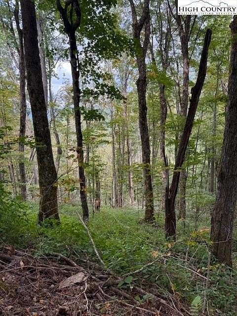0.76 Acres of Residential Land for Sale in Creston, North Carolina