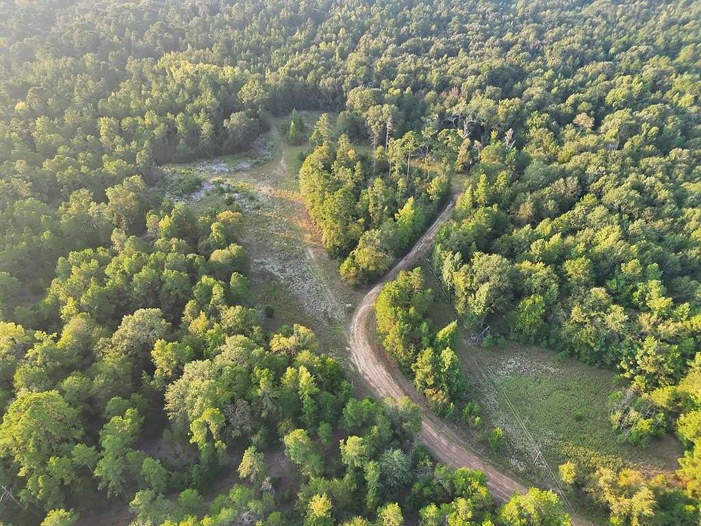 88 Acres of Land for Sale in Elkhart, Texas