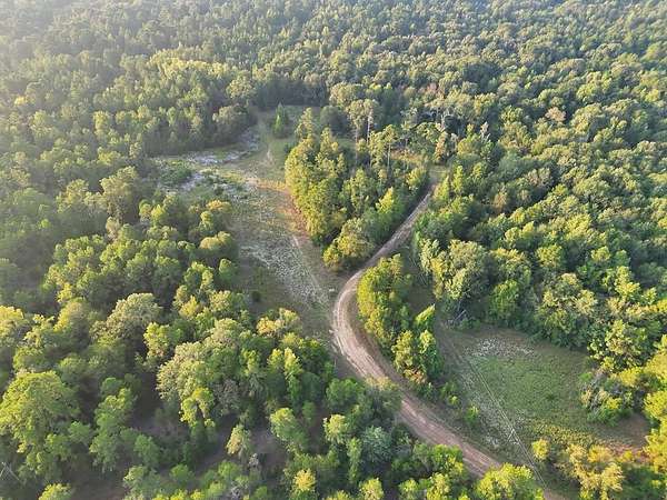 88 Acres of Recreational & Residential Land for Sale in Elkhart, Texas