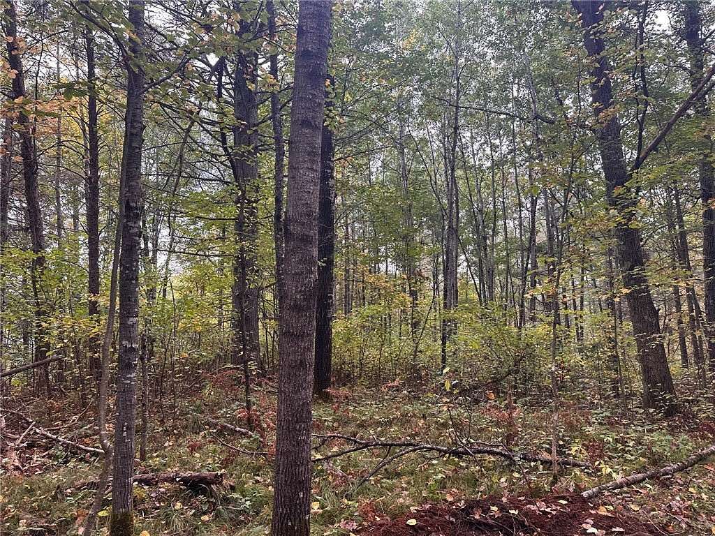1 Acre of Land for Sale in Hayward, Wisconsin