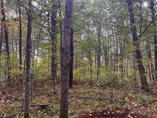 1 Acre of Land for Sale in Hayward, Wisconsin