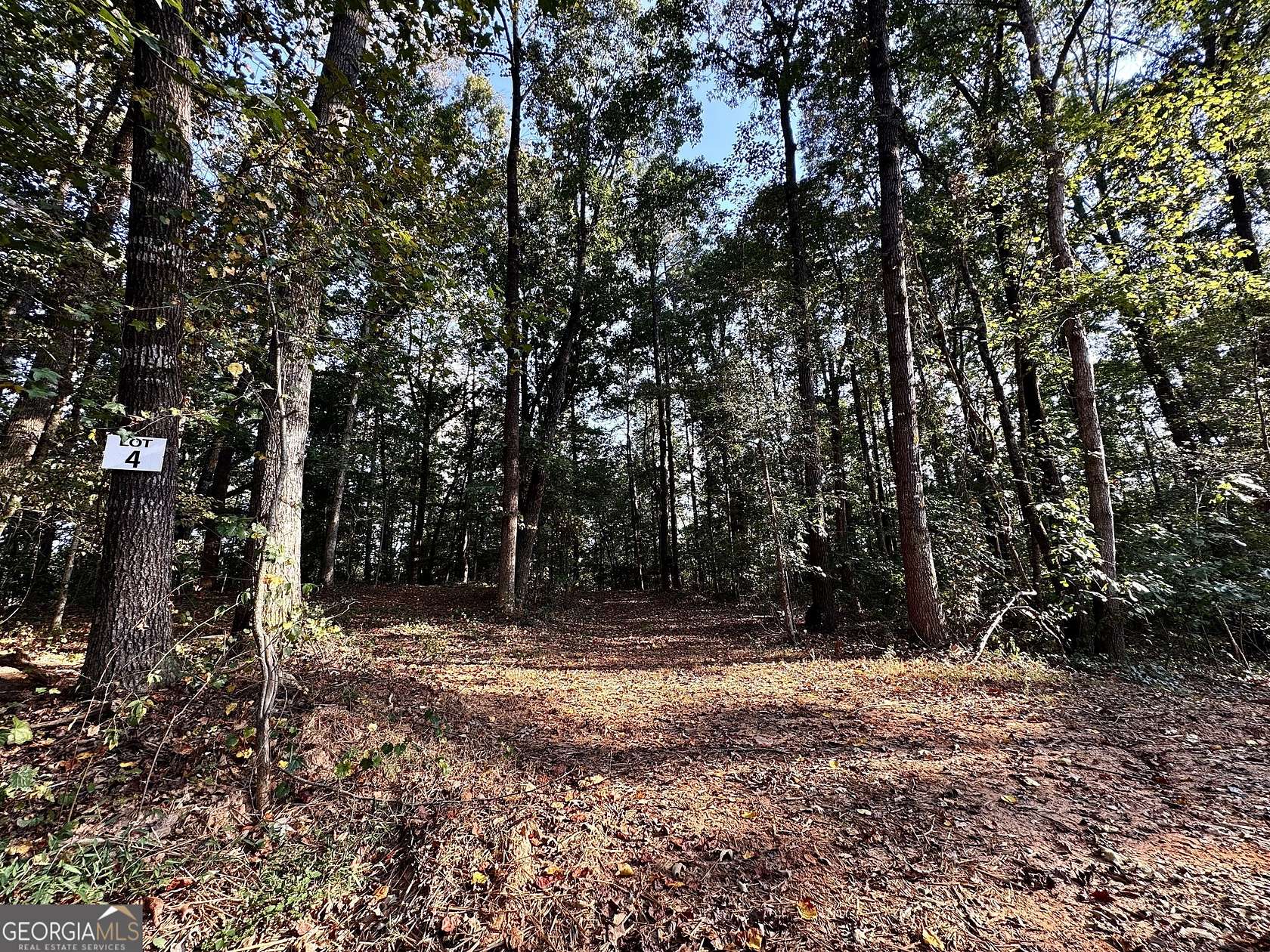 8.67 Acres of Land for Sale in Pendergrass, Georgia