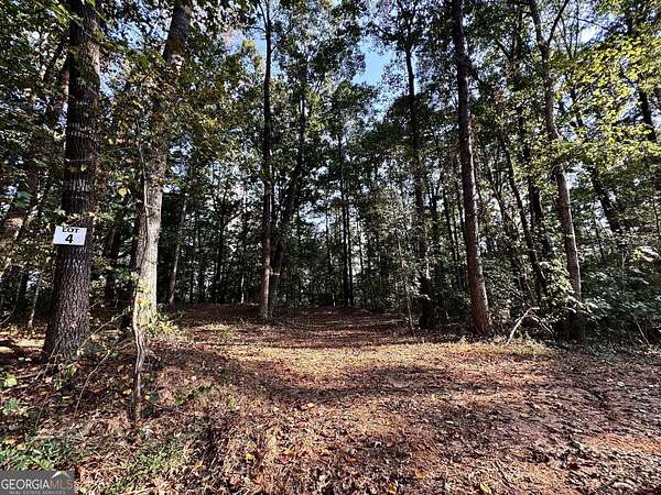 8.67 Acres of Land for Sale in Pendergrass, Georgia
