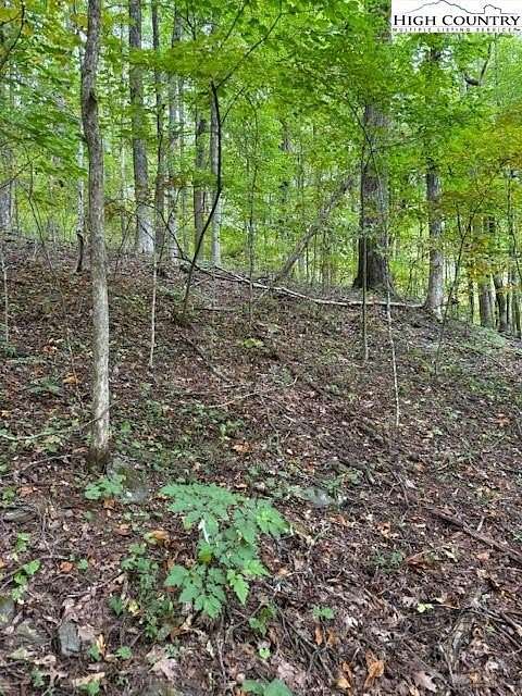 0.74 Acres of Residential Land for Sale in Creston, North Carolina
