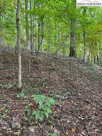 0.74 Acres of Residential Land for Sale in Creston, North Carolina