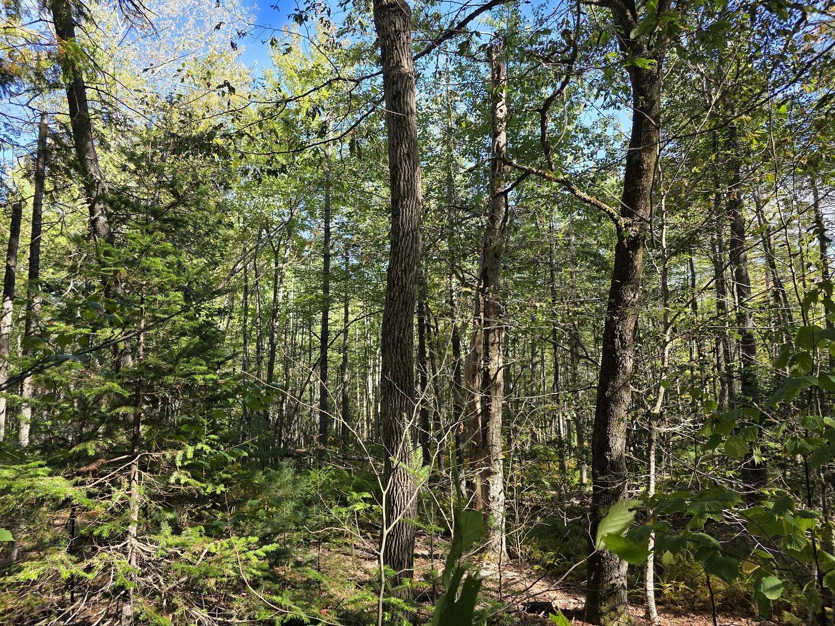 7 Acres of Residential Land for Sale in Belfast, Maine