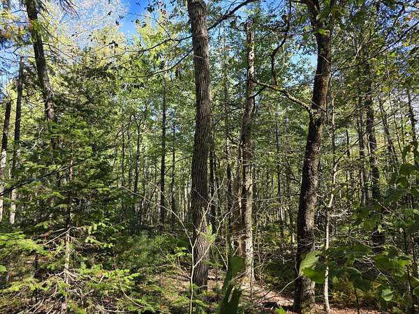 7 Acres of Residential Land for Sale in Belfast, Maine