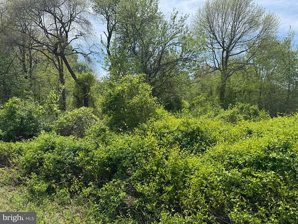 2 Acres of Residential Land for Sale in Pedricktown, New Jersey