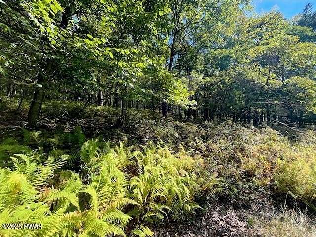 1 Acre of Residential Land for Sale in Dingmans Ferry, Pennsylvania