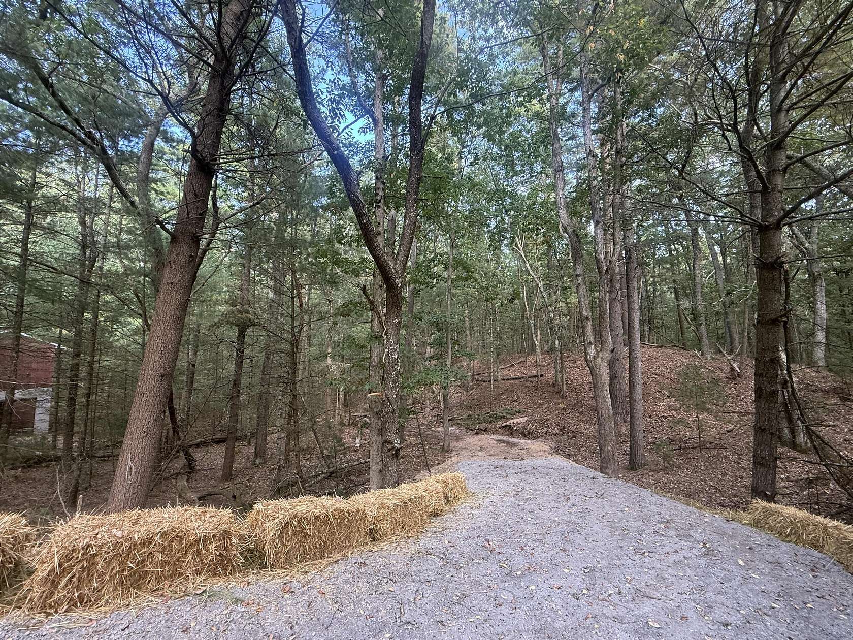 0.81 Acres of Land for Sale in Pentwater, Michigan