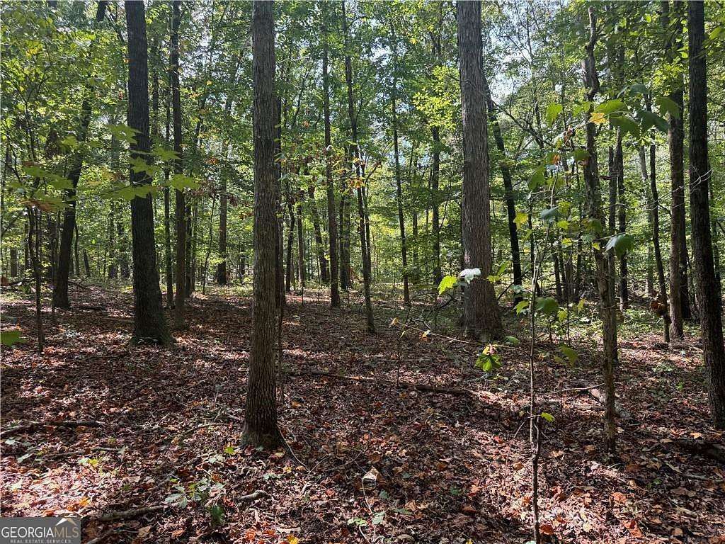 4.59 Acres of Residential Land for Sale in Canton, Georgia