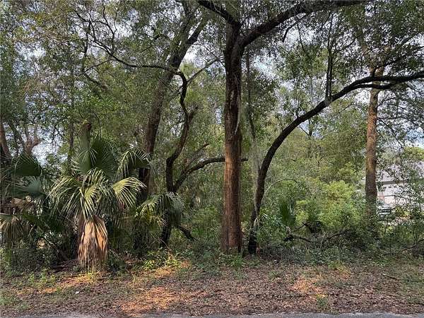 0.45 Acres of Residential Land for Sale in Sorrento, Florida