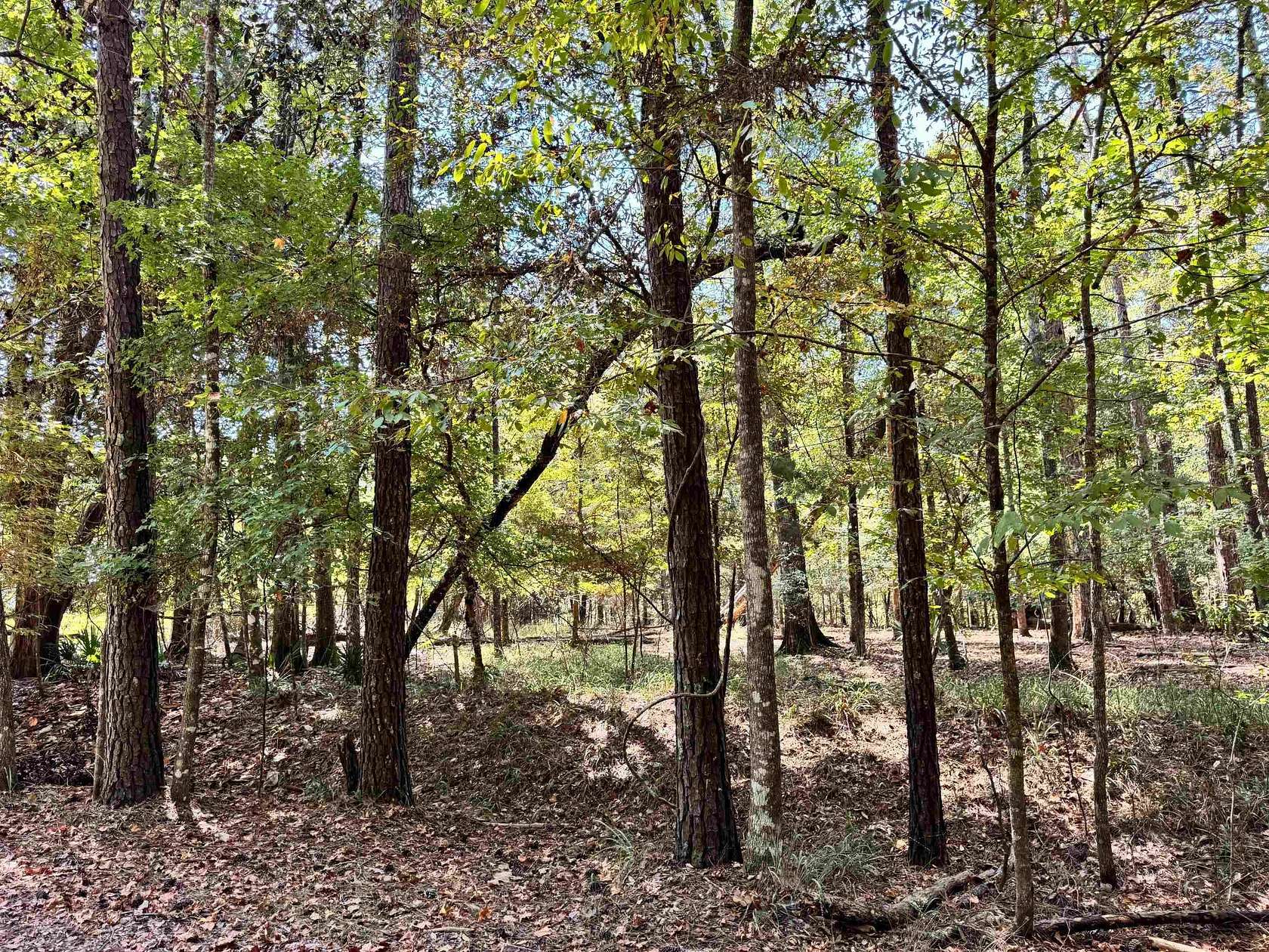 2.12 Acres of Residential Land for Sale in Havana, Florida