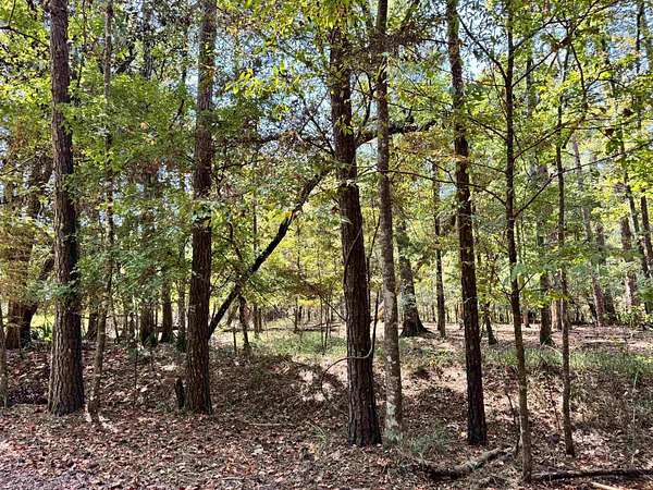 2.12 Acres of Residential Land for Sale in Havana, Florida