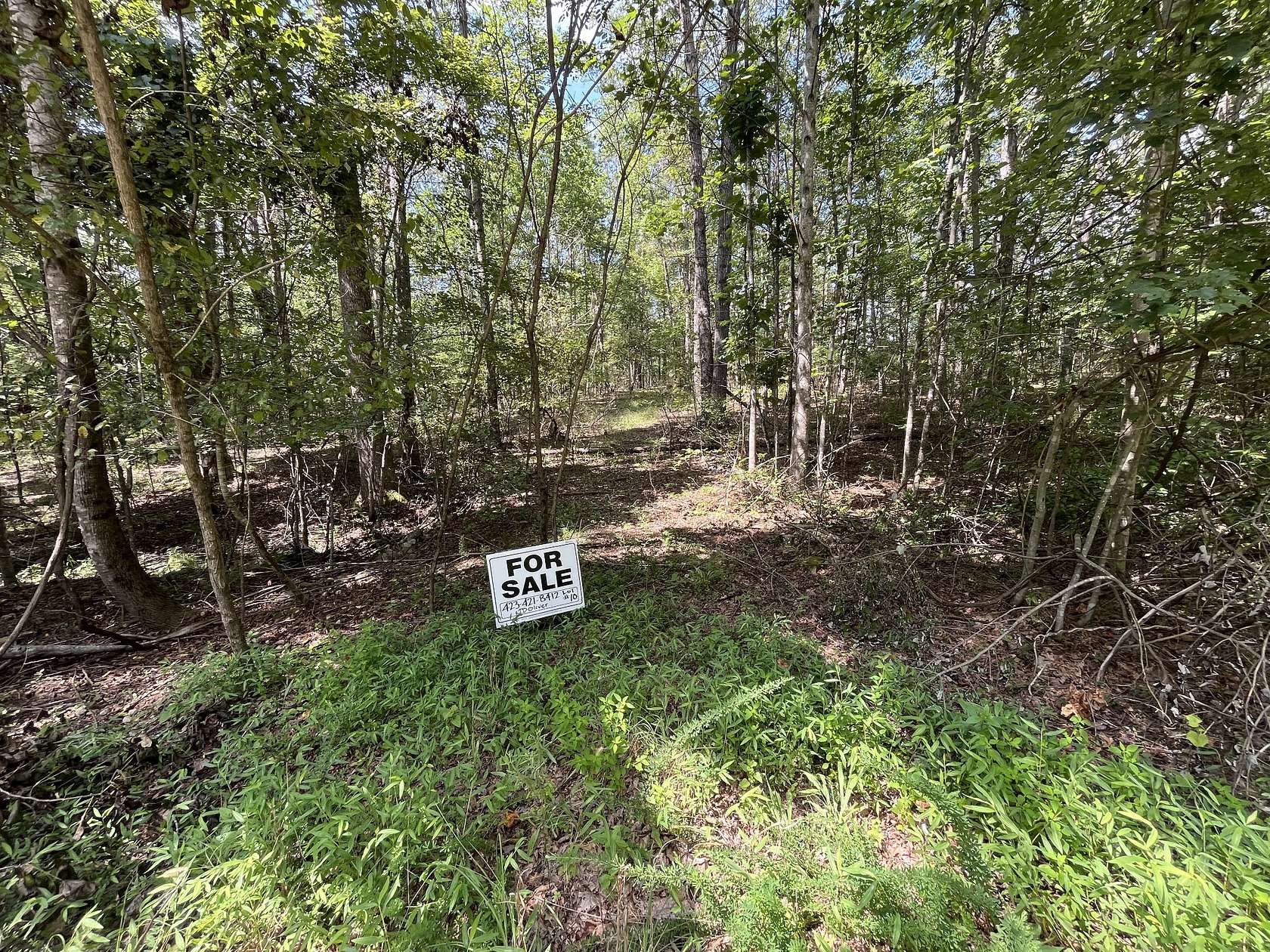 1 Acre of Residential Land for Sale in Monteagle, Tennessee