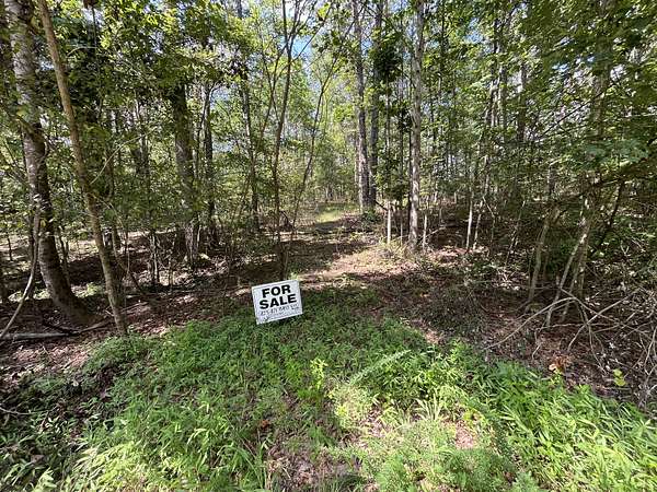 1 Acre of Residential Land for Sale in Monteagle, Tennessee