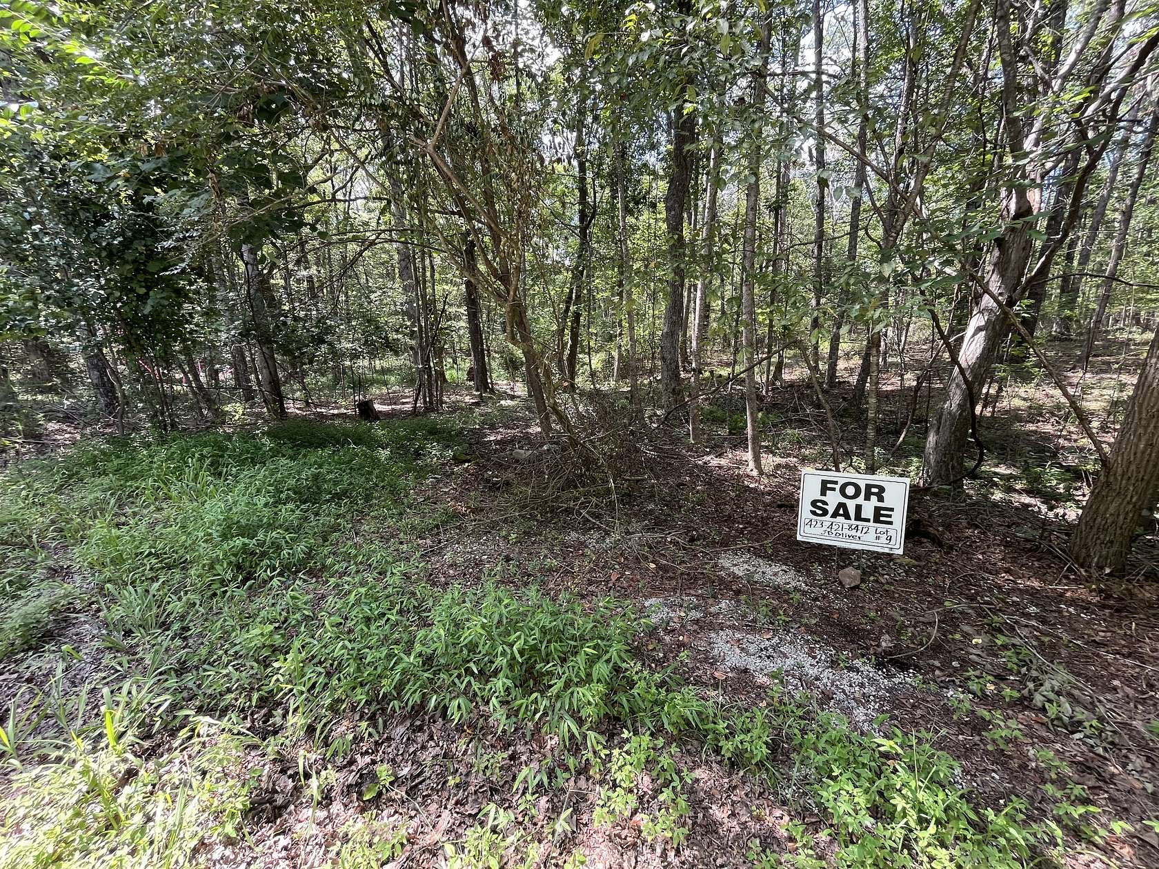 0.65 Acres of Residential Land for Sale in Monteagle, Tennessee