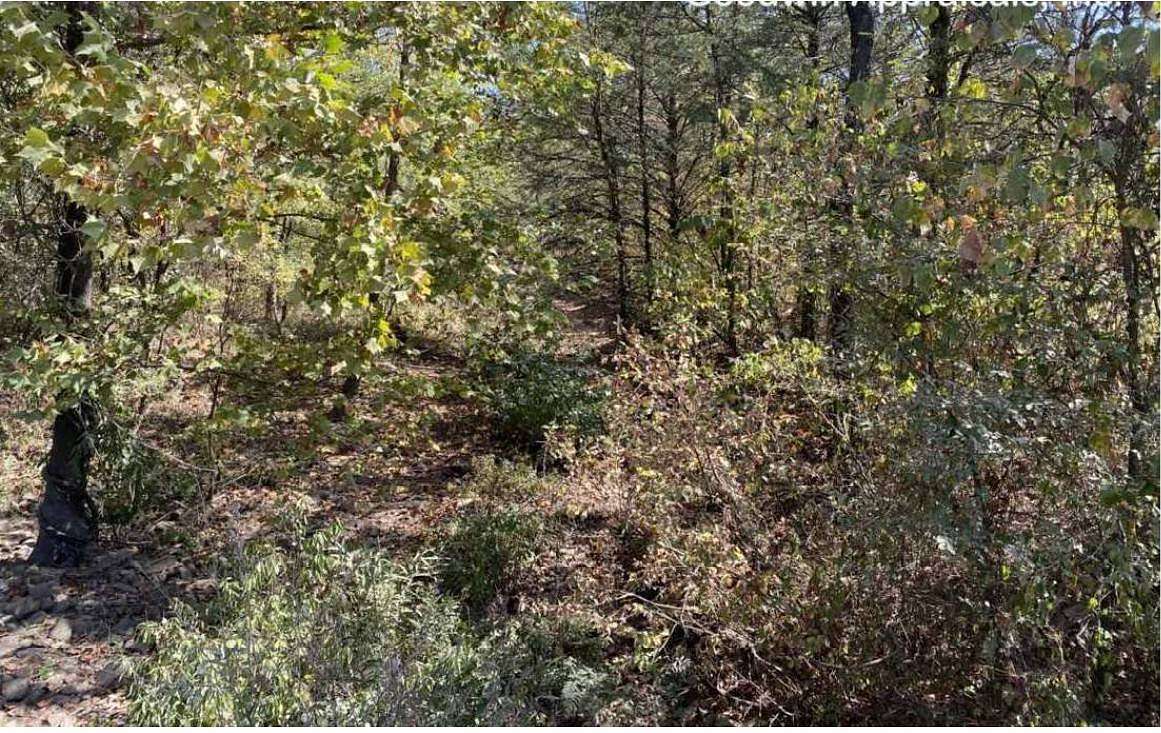 104 Acres of Land for Sale in Dardanelle Township, Arkansas
