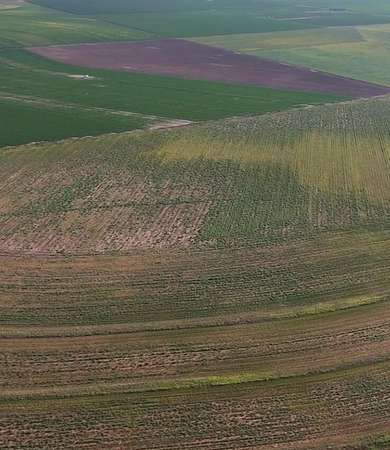 10 Acres of Residential Land for Sale in Wilson, Texas