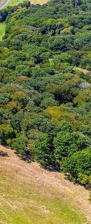 11 Acres of Land for Sale in Grandview, Texas