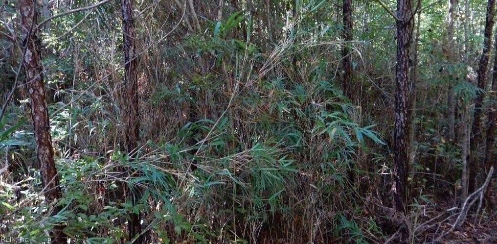 0.17 Acres of Land for Sale in Suffolk, Virginia