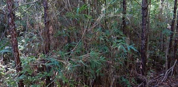 0.17 Acres of Land for Sale in Suffolk, Virginia