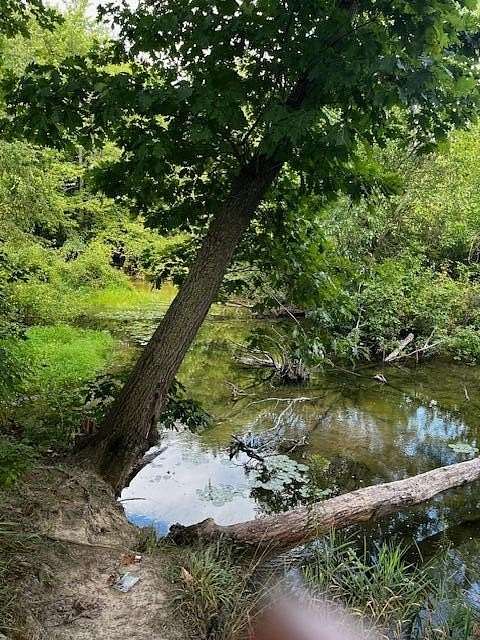 0.35 Acres of Land for Sale in Gowen, Michigan