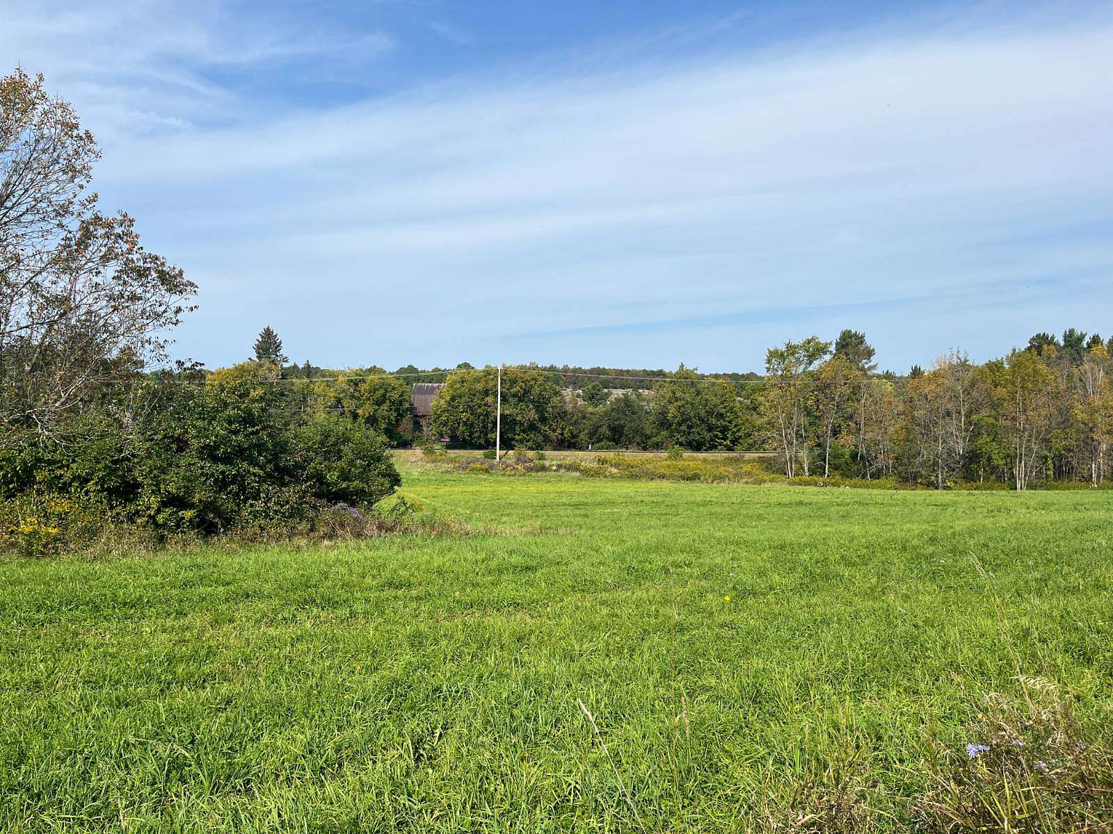 4.49 Acres of Residential Land for Sale in Antwerp, New York