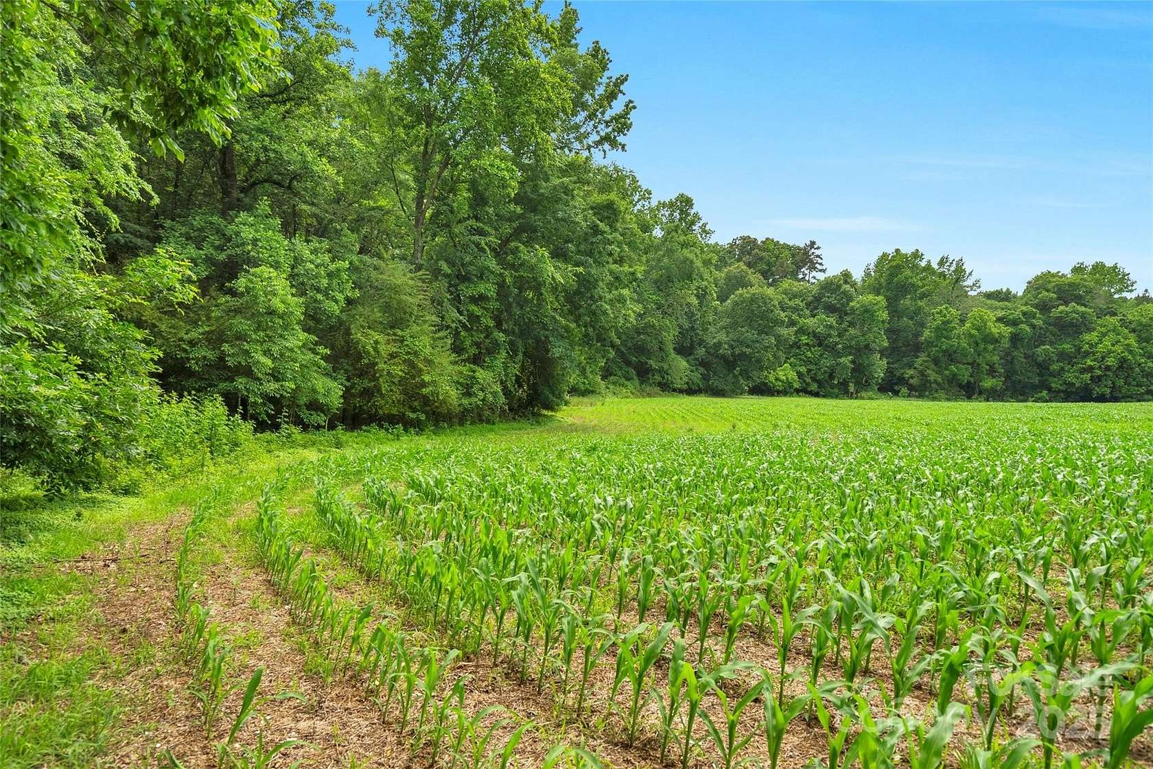 13.8 Acres of Land for Sale in Marshville, North Carolina