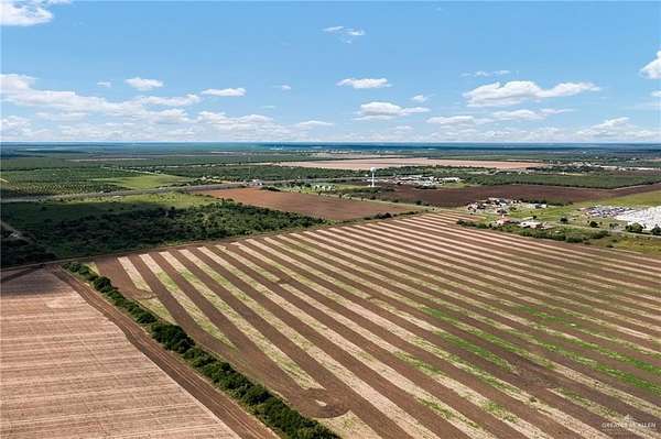 40.2 Acres of Land for Sale in Edinburg, Texas