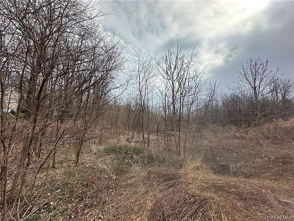 8.74 Acres of Residential Land for Sale in Hopewell Junction, New York