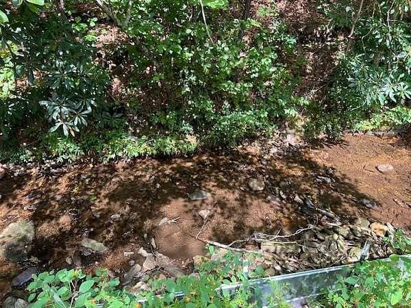 0.02 Acres of Land for Sale in Blairsville, Georgia