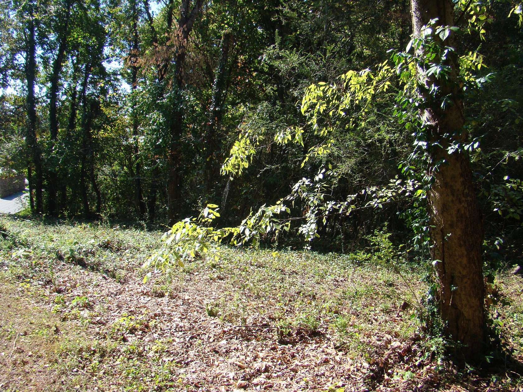 0.33 Acres of Residential Land for Sale in Cleveland, Tennessee