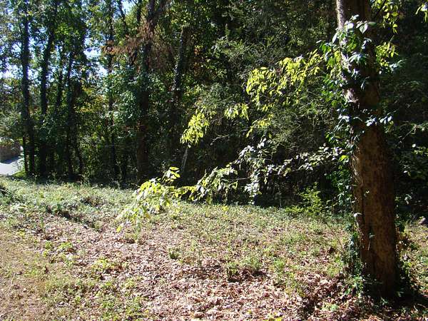 0.33 Acres of Residential Land for Sale in Cleveland, Tennessee