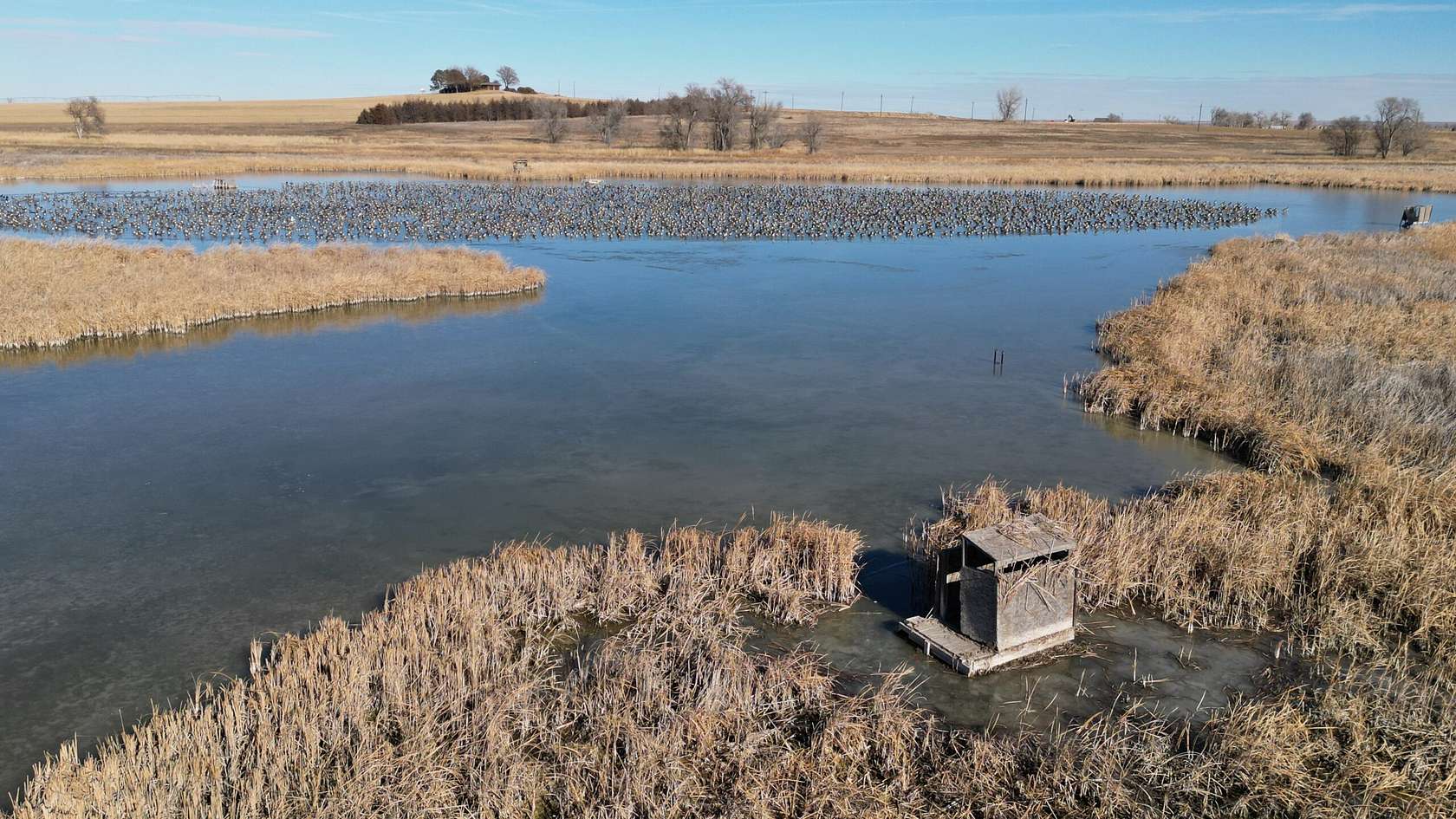 136 Acres of Recreational Land & Farm for Sale in Kersey, Colorado