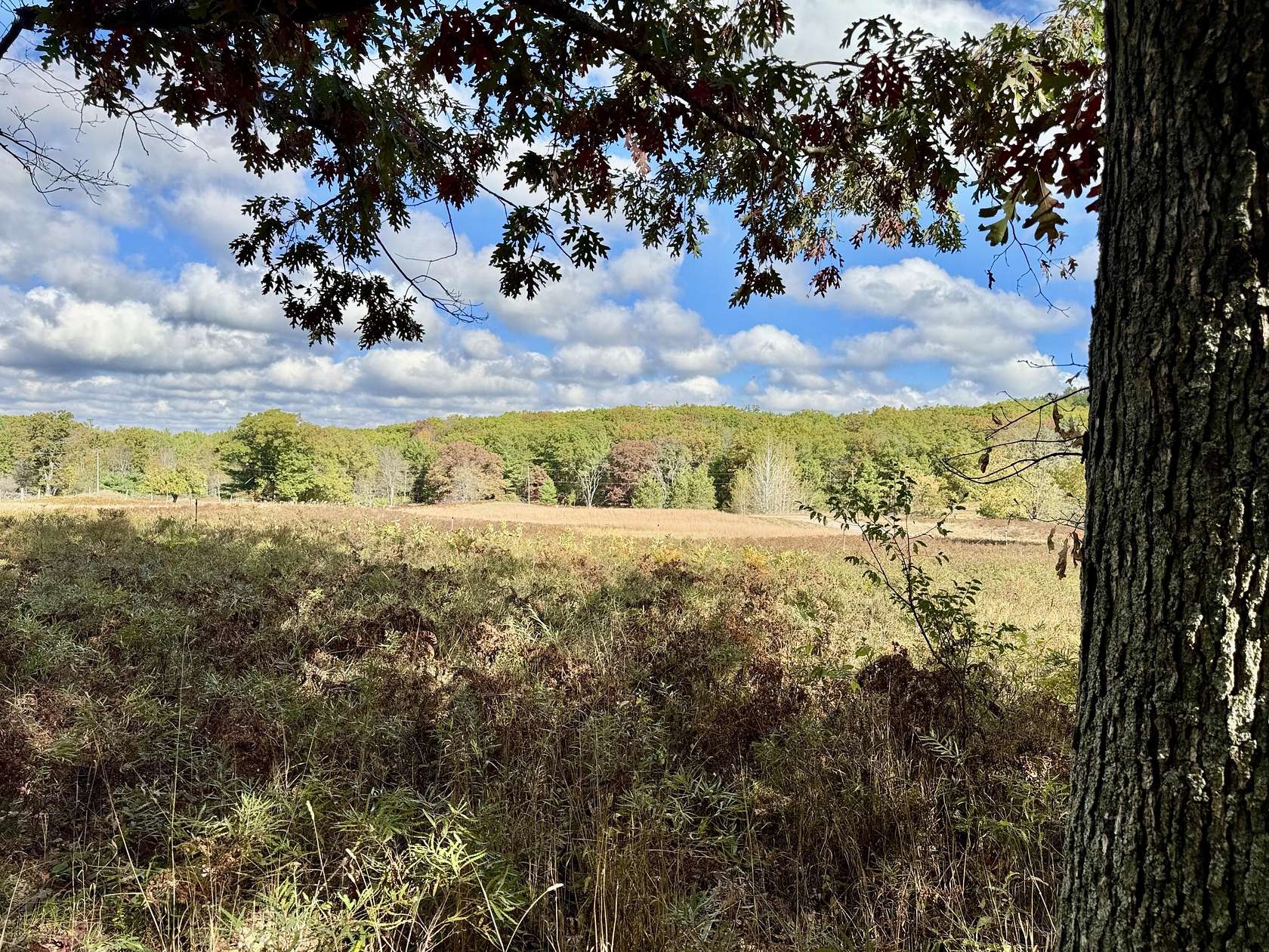 6 Acres of Land for Sale in Mio, Michigan