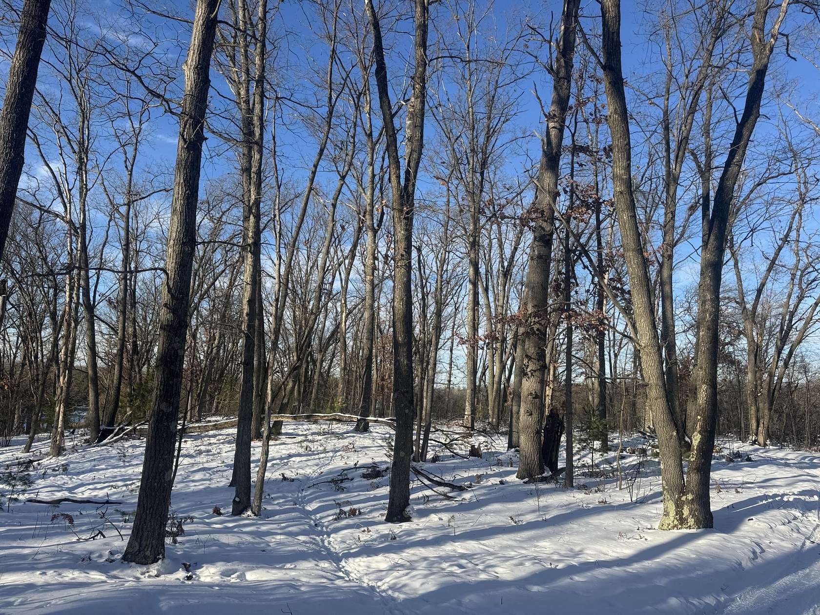 6 Acres of Land for Sale in Mio, Michigan