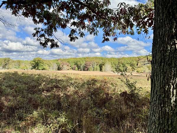 6 Acres of Land for Sale in Mio, Michigan