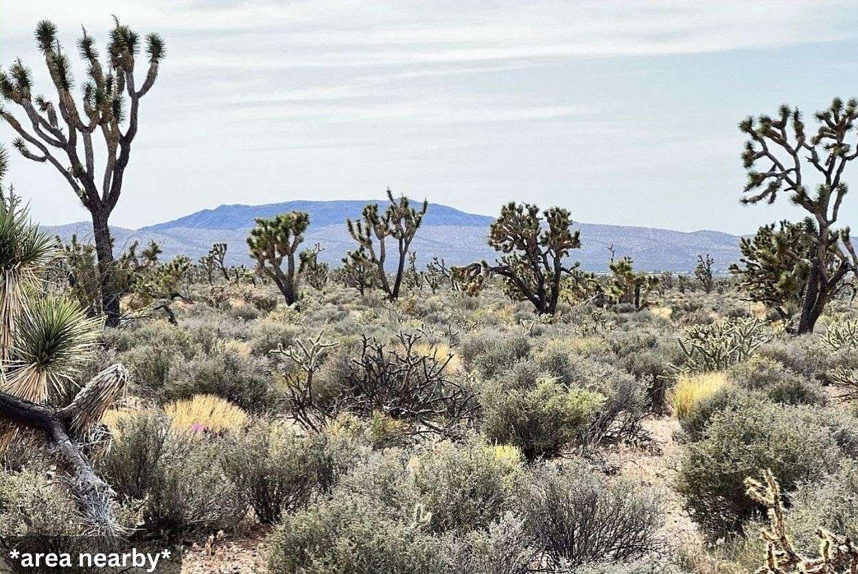 1.25 Acres of Residential Land for Sale in Meadview, Arizona