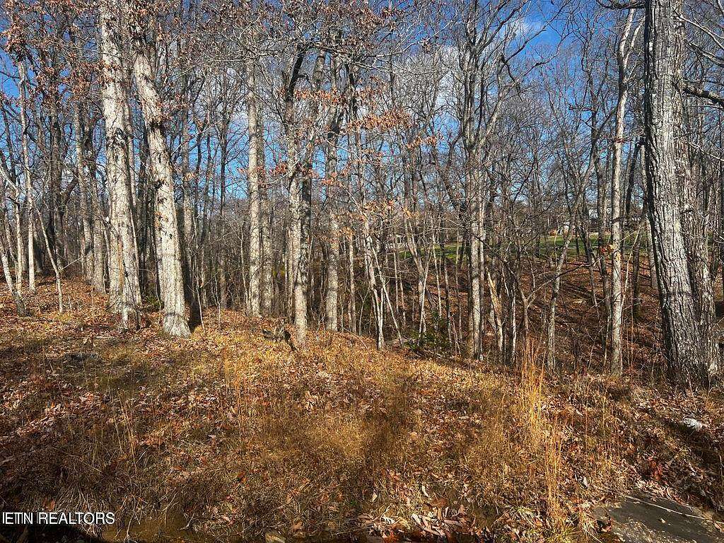 0.3 Acres of Land for Sale in Crossville, Tennessee