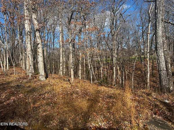 0.3 Acres of Land for Sale in Crossville, Tennessee