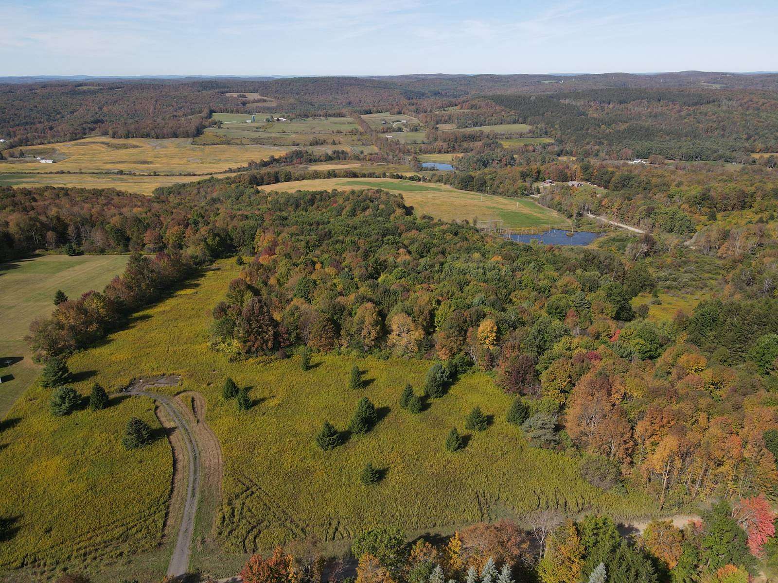 29.4 Acres of Recreational Land for Sale in Cooperstown, New York